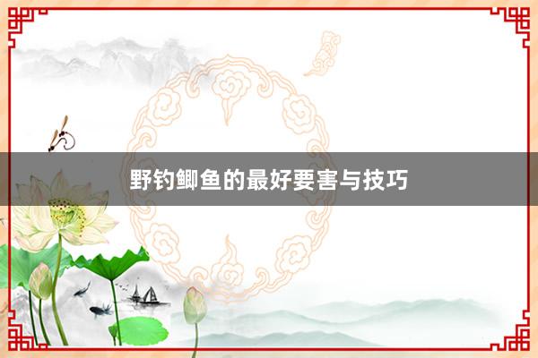 野钓鲫鱼的最好要害与技巧
